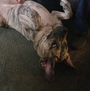 Meet your Posher, Julie